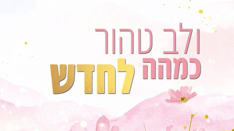 קליפ מילים: 'ולב טהור כמהה לחדש' על רקע ורוד